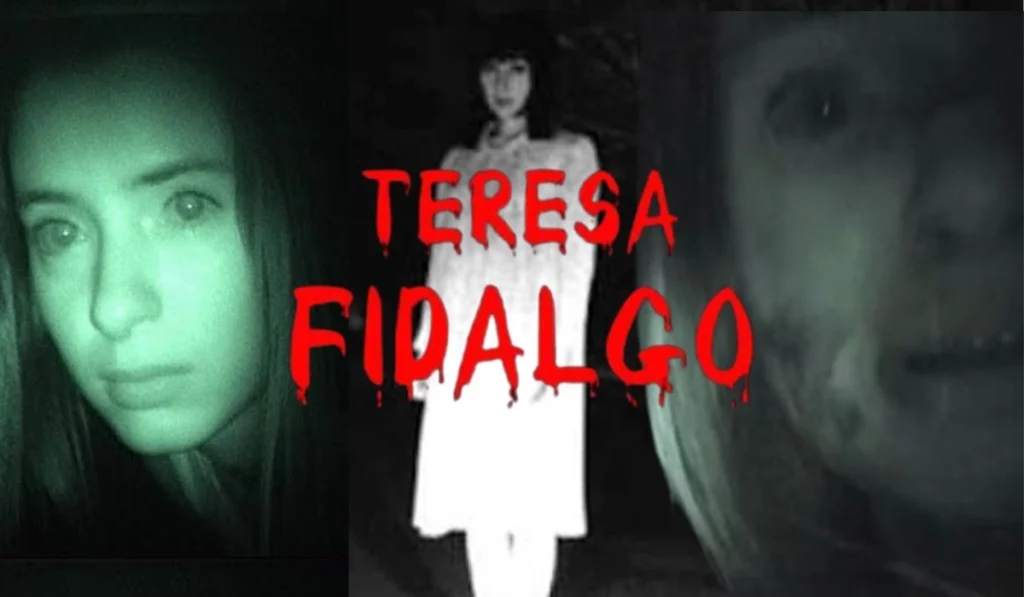 Teresa Fidalgo History