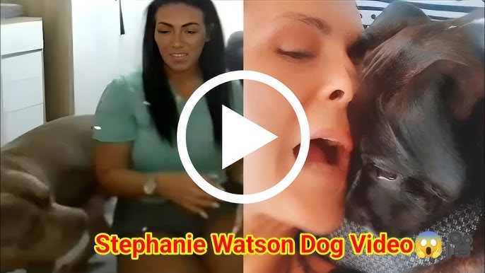 VIDEO: Stephanie Watson Dog Glasgow